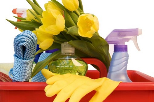 Spring cleaning spring flowers